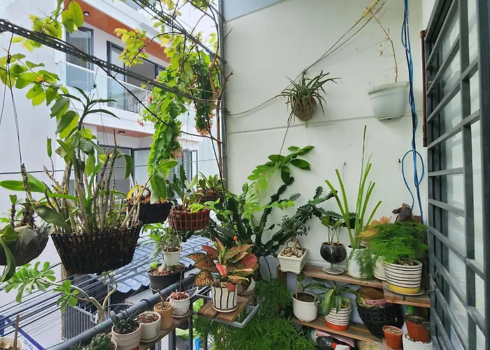 Sena Home 3#1-Near Danang Dragon Bridge-Han River