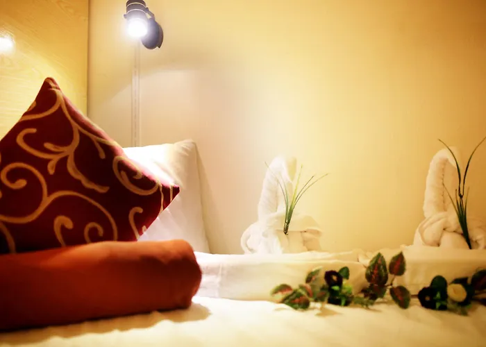 Like Backpacker Hostel Đà Nẵng acceptant les animaux